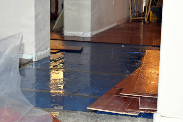Professional Burst Pipe Cleanup technician working in Ocean Park, ME